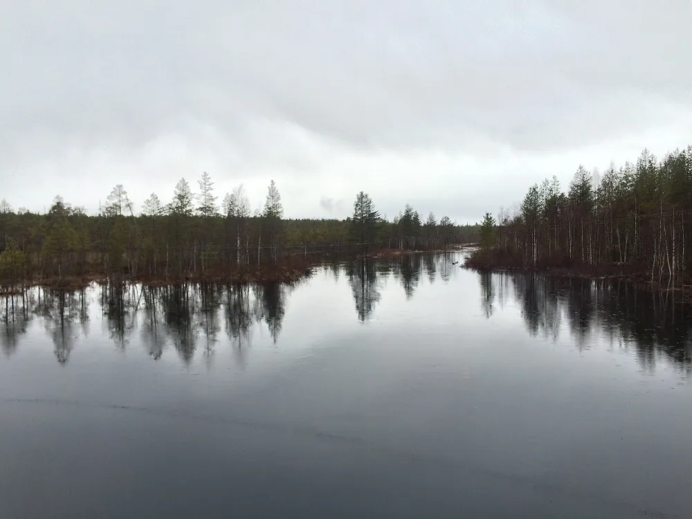 Муезерка