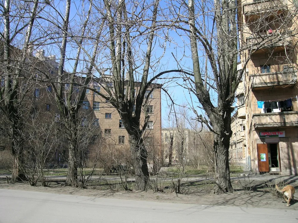 Жилые дома