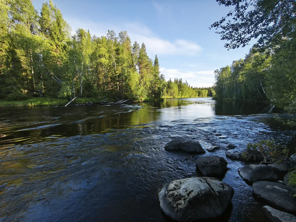 Порог Кривой (66°15'10"N, 33°28'18"E)