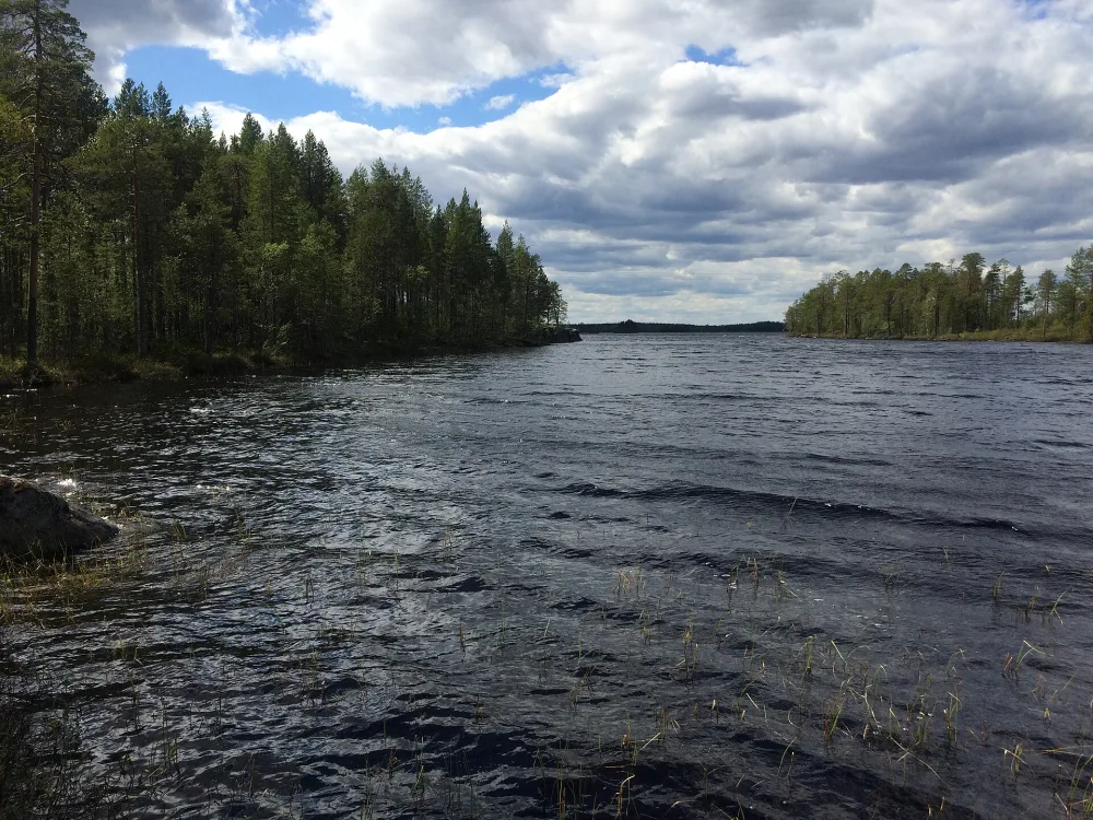 Верхнее Рюжи