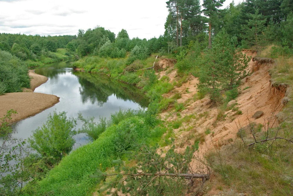 Холова