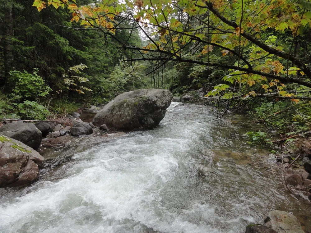 Средняя Амгу