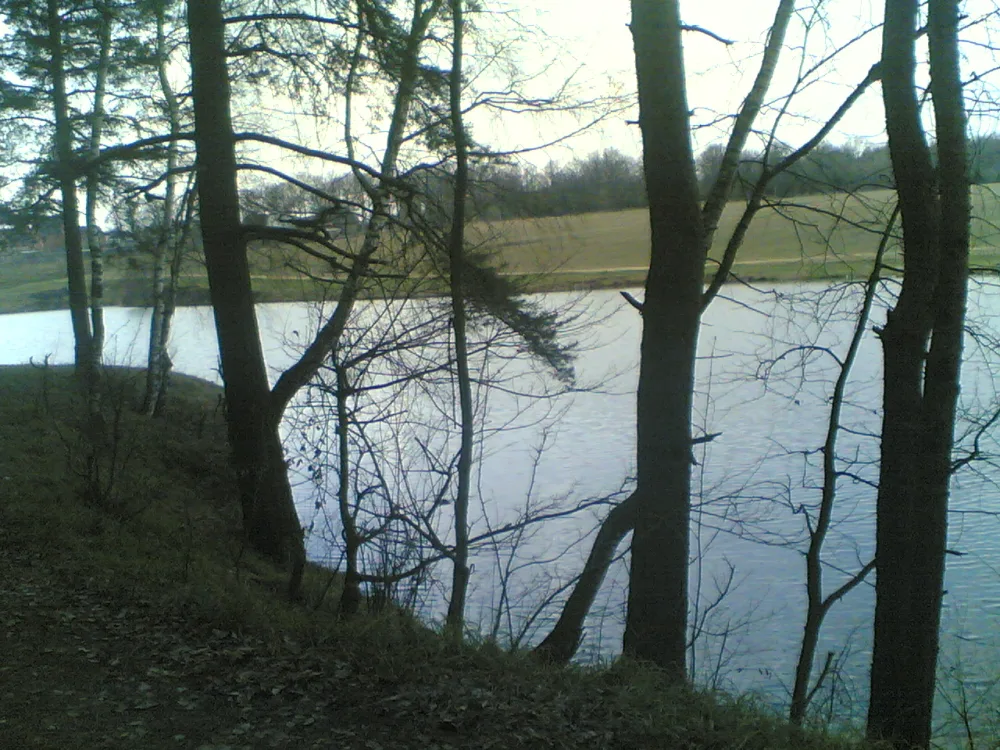 Рожай
