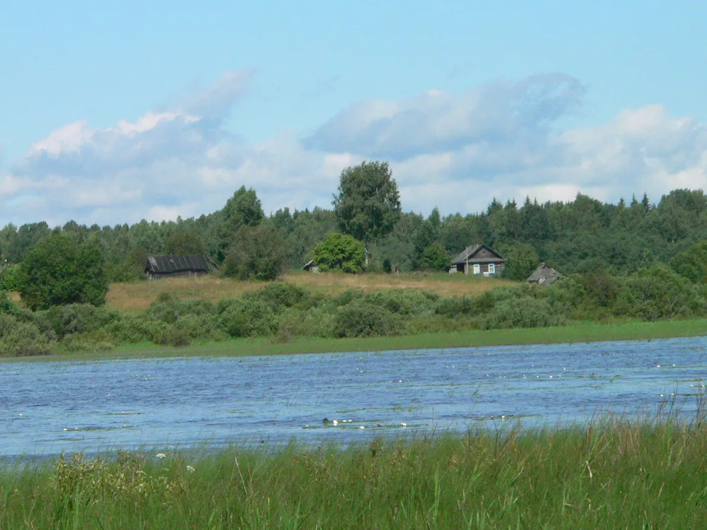 Руна