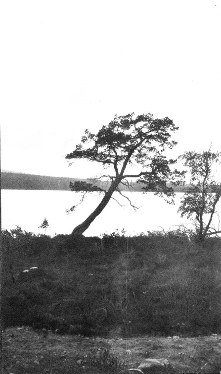 Пулозеро (озеро, Кольский полуостров)