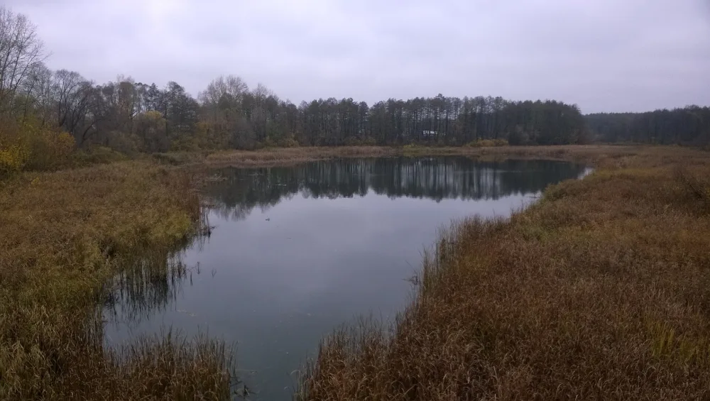 Бездна