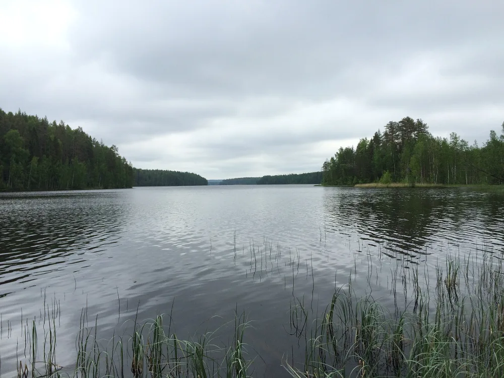 Синемукса
