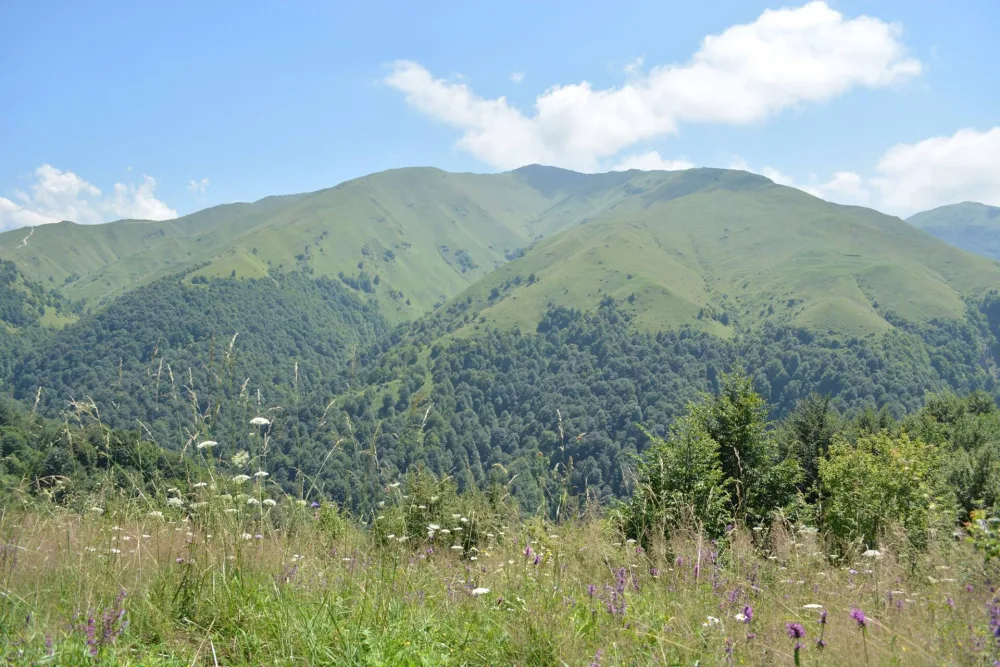 Бенойлам