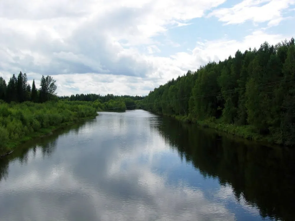 Кунгус