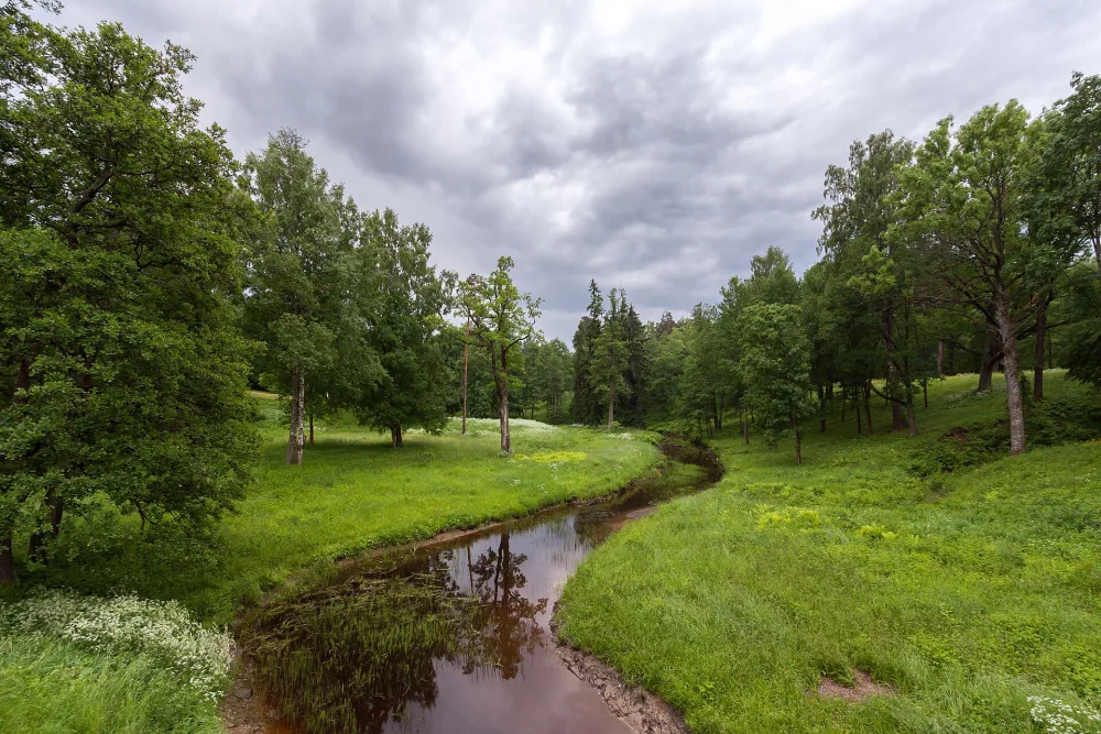 Караста