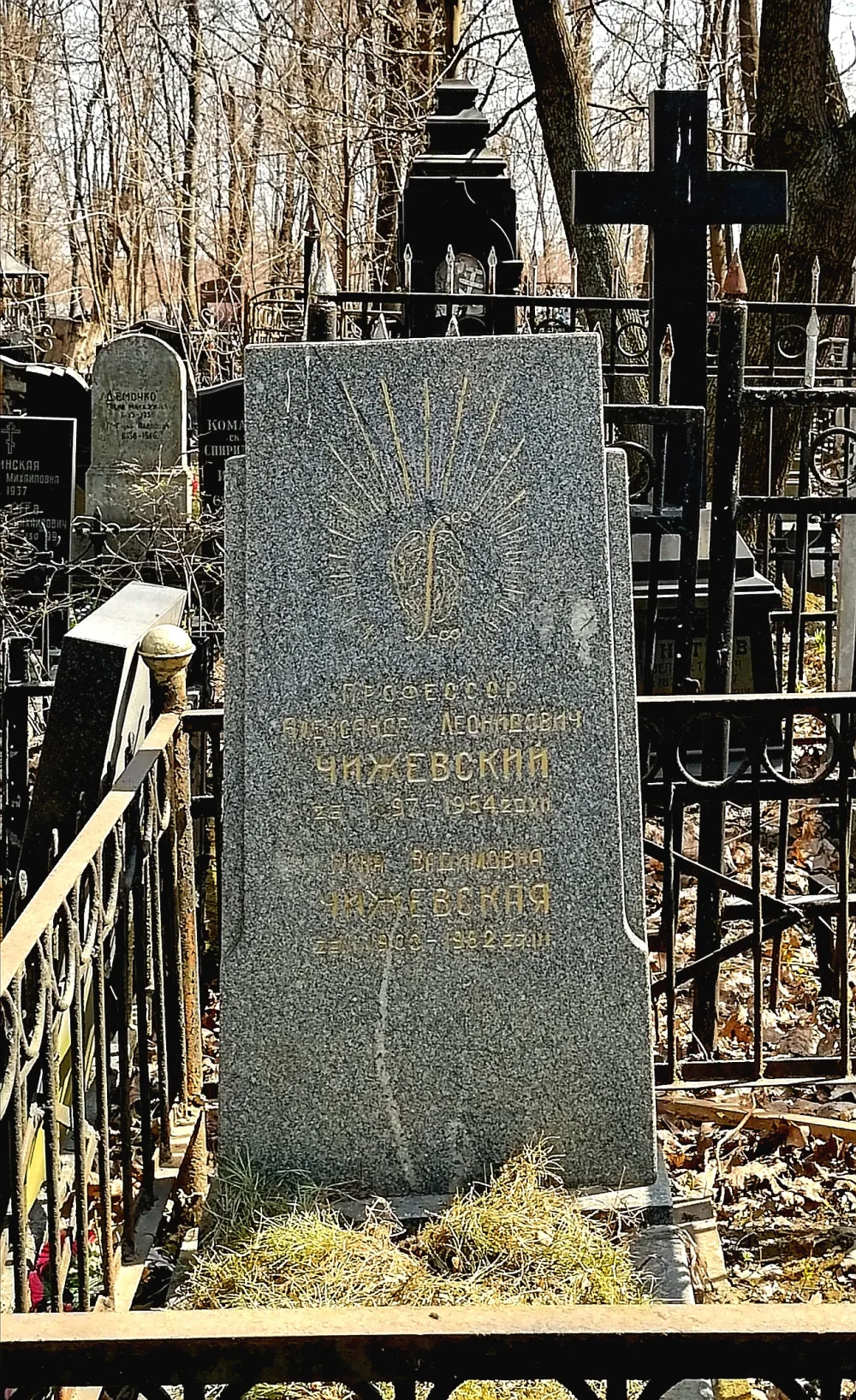 Могила Чижевского Александра Леонидовича (1897-1964), биолога, основателя гелиобиологии (Алексеевский)