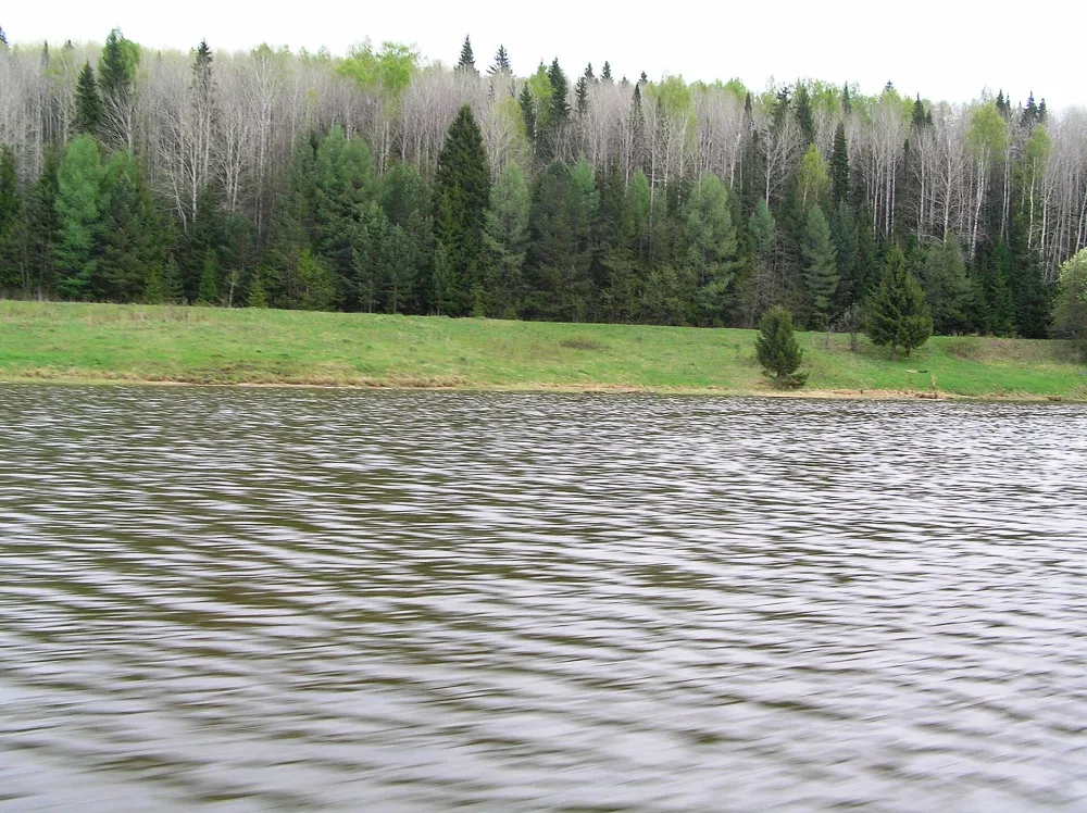 Большая Быковка (река, впадает в Камское водохранилище)