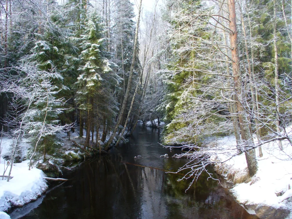 Перовка