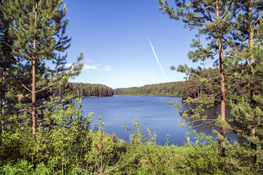 Суводь