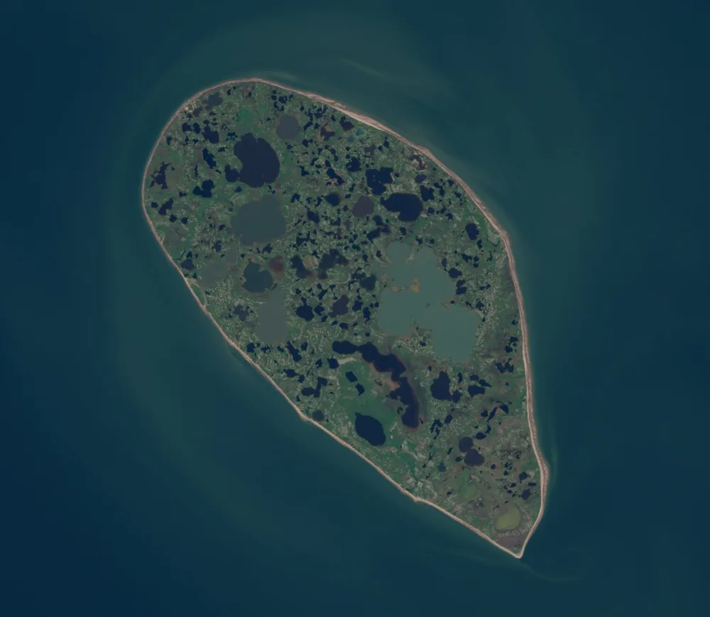 Моржовец