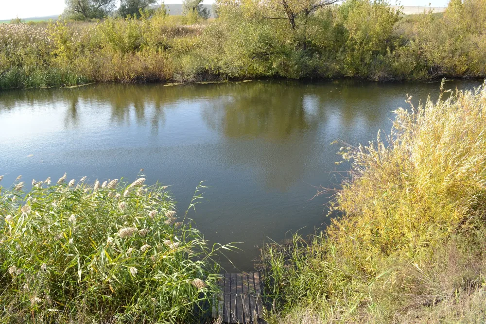 Башкирка