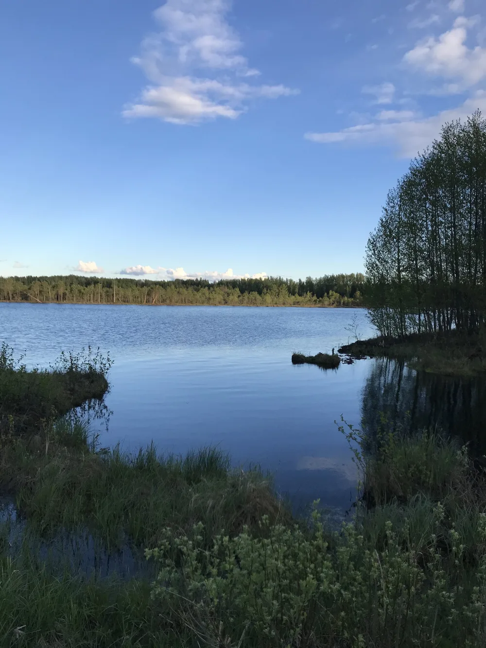 Коровье озеро