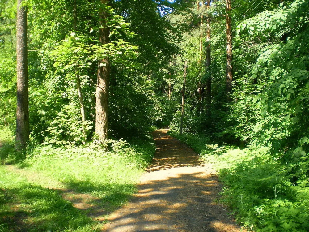 Парк «Загородное» (Всеволожск)