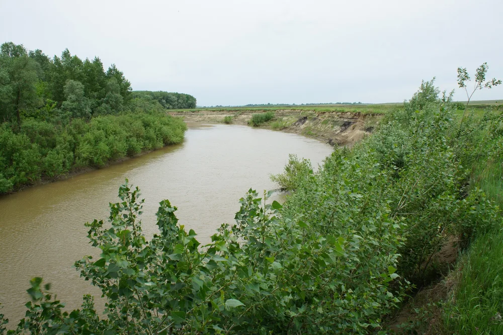 Алей