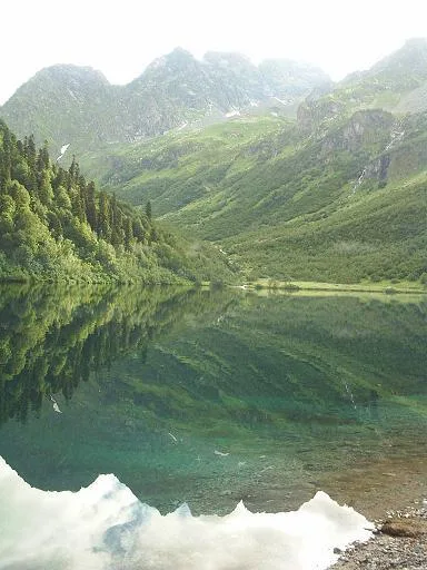 Кардывач