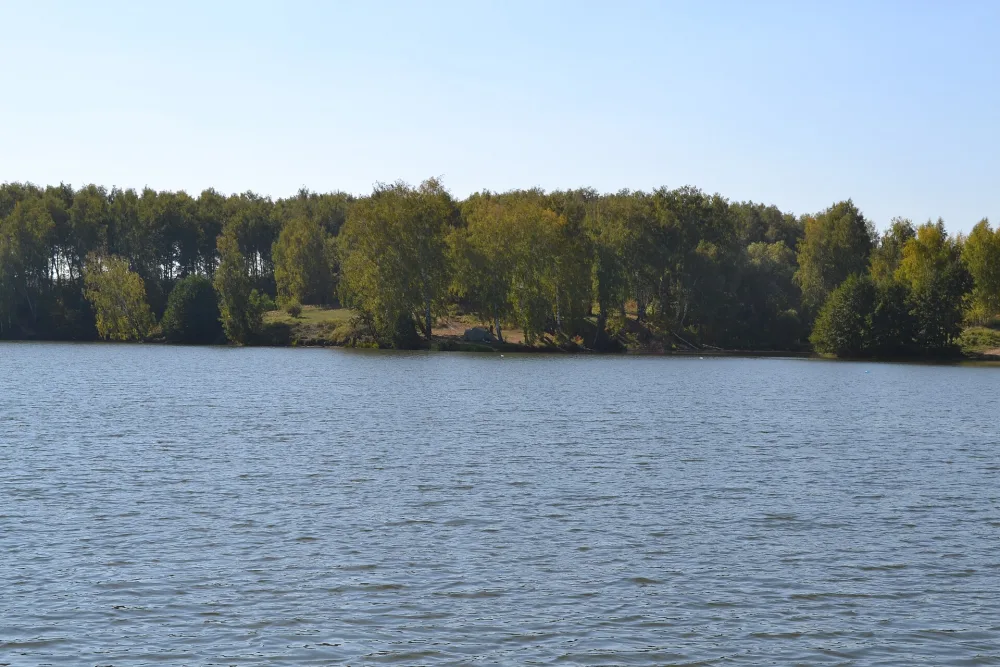 Романовское городище (Романово)