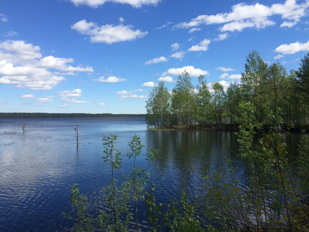 Боровое (озеро, Лоухский район)