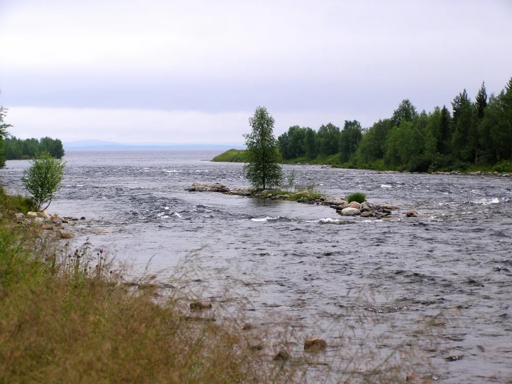 Пиренга