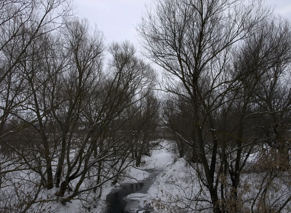 Тавла