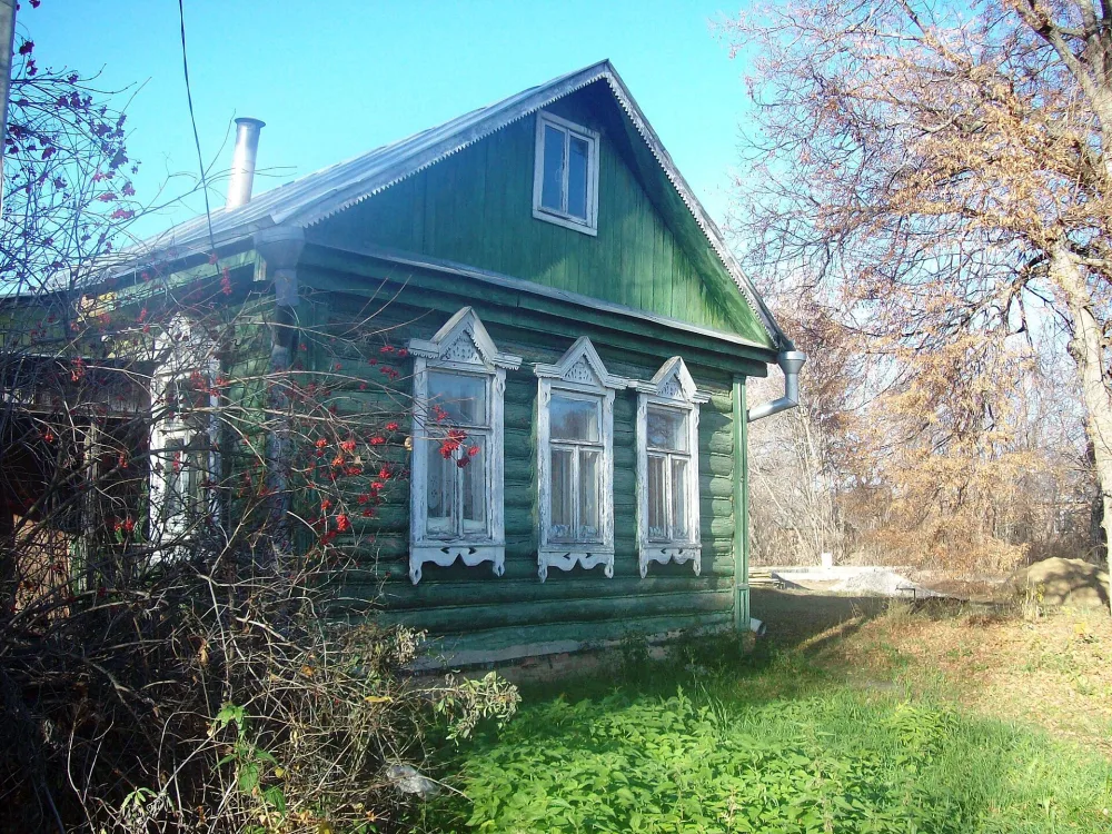 Деревянные крестьянские дома по улице села (Даровое)