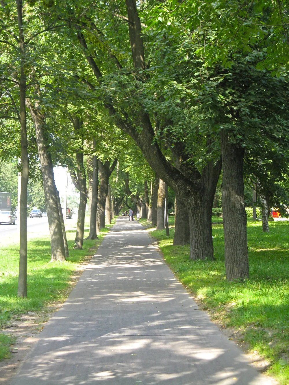 Бульвары по бывшей Санкт-Петербургской улице (Красное Село)