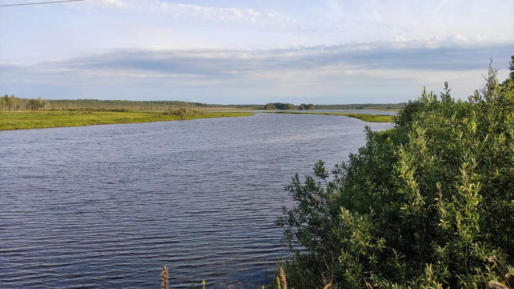 Жукопа