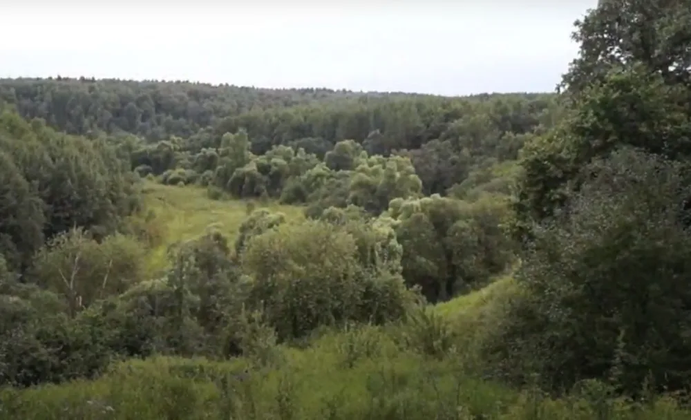 Луковня (городище)
