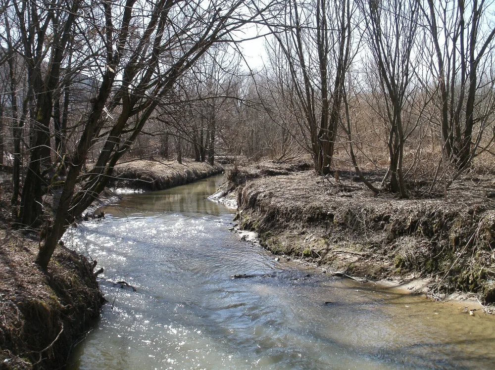 Раменка