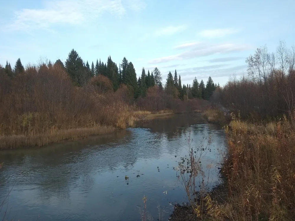 Барзас