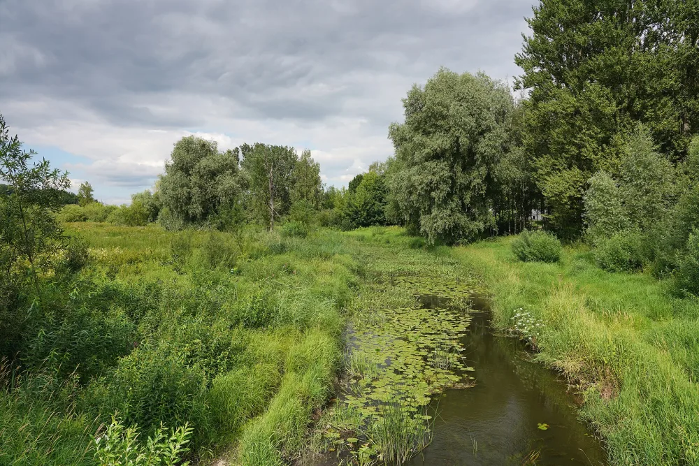 Мирожка