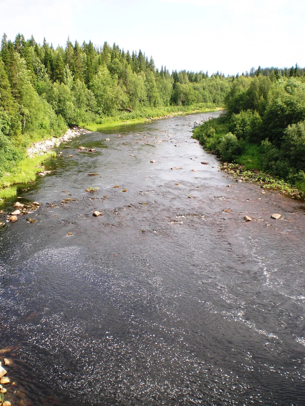 Оленица