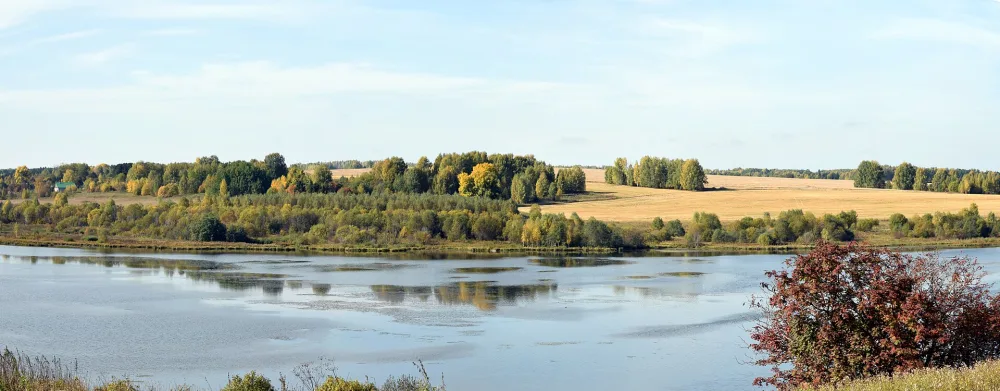 Большая Кумёна