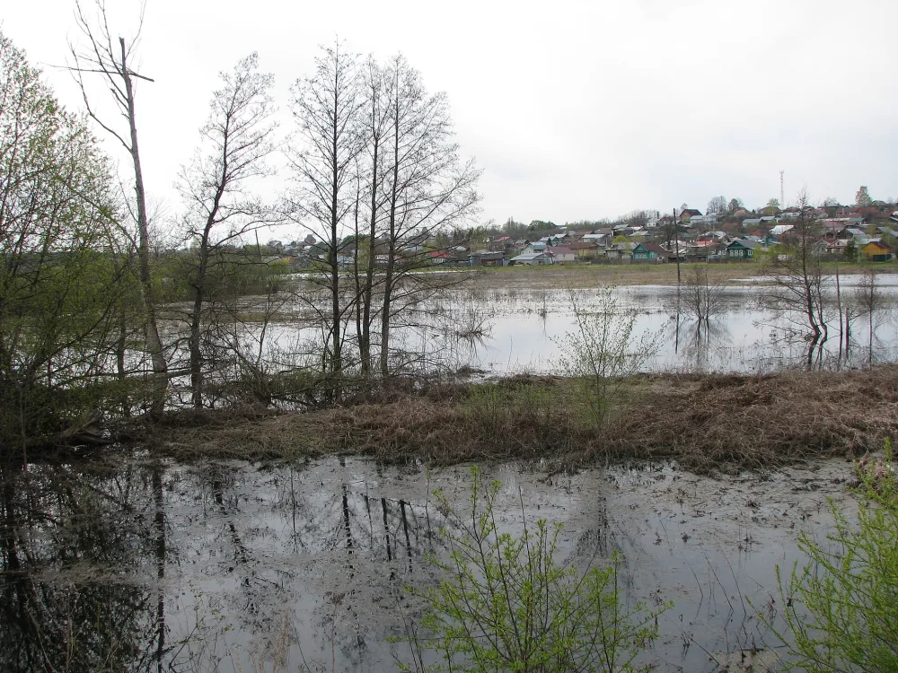 Тара
