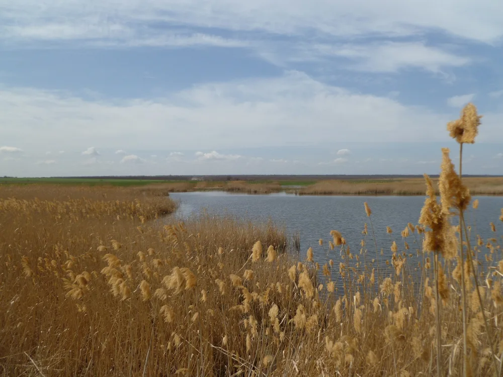 Камбулат