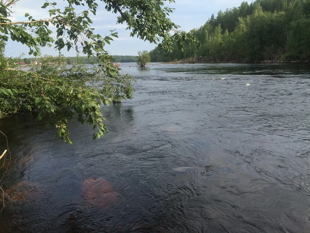 Заводская