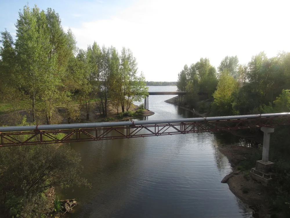 Пальта