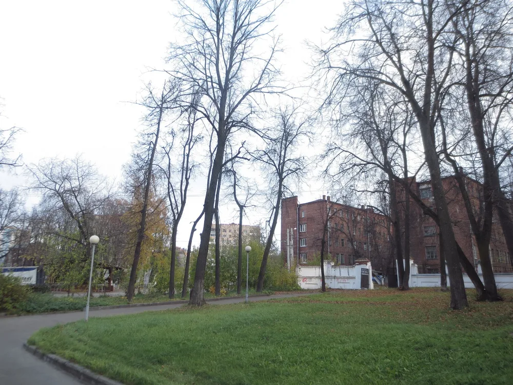 Остатки парка (Иваново)