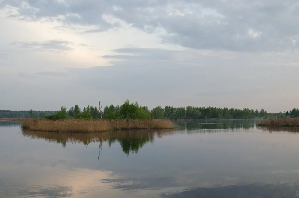 Торфянка