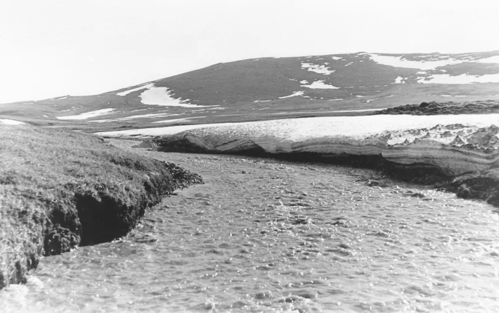 Пильгынкууль