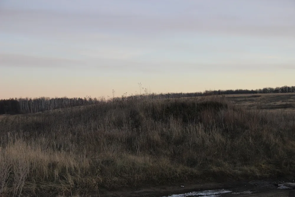 Городище «Городищенское» (Городищи)