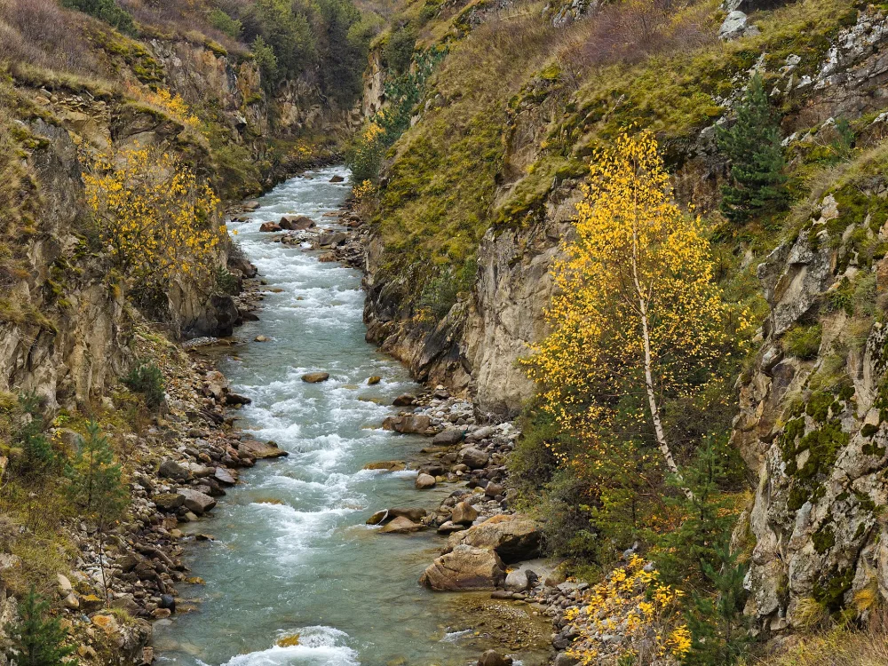 Айгамуга