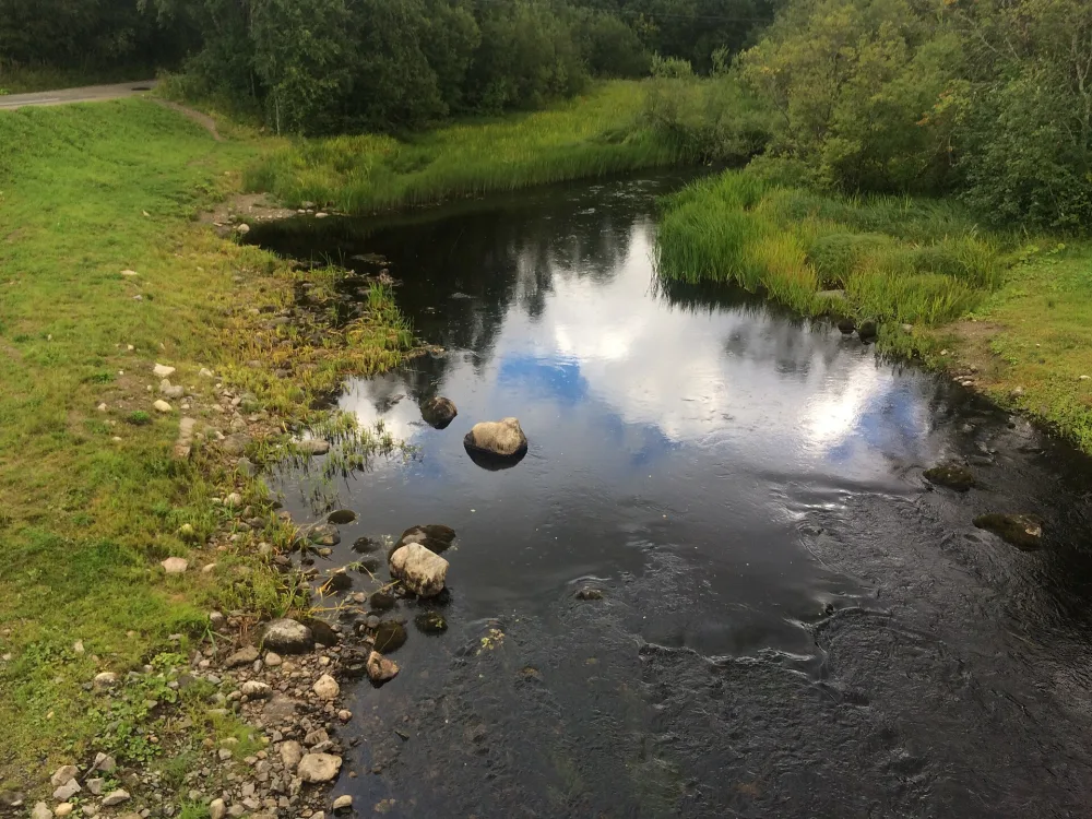 Шалица