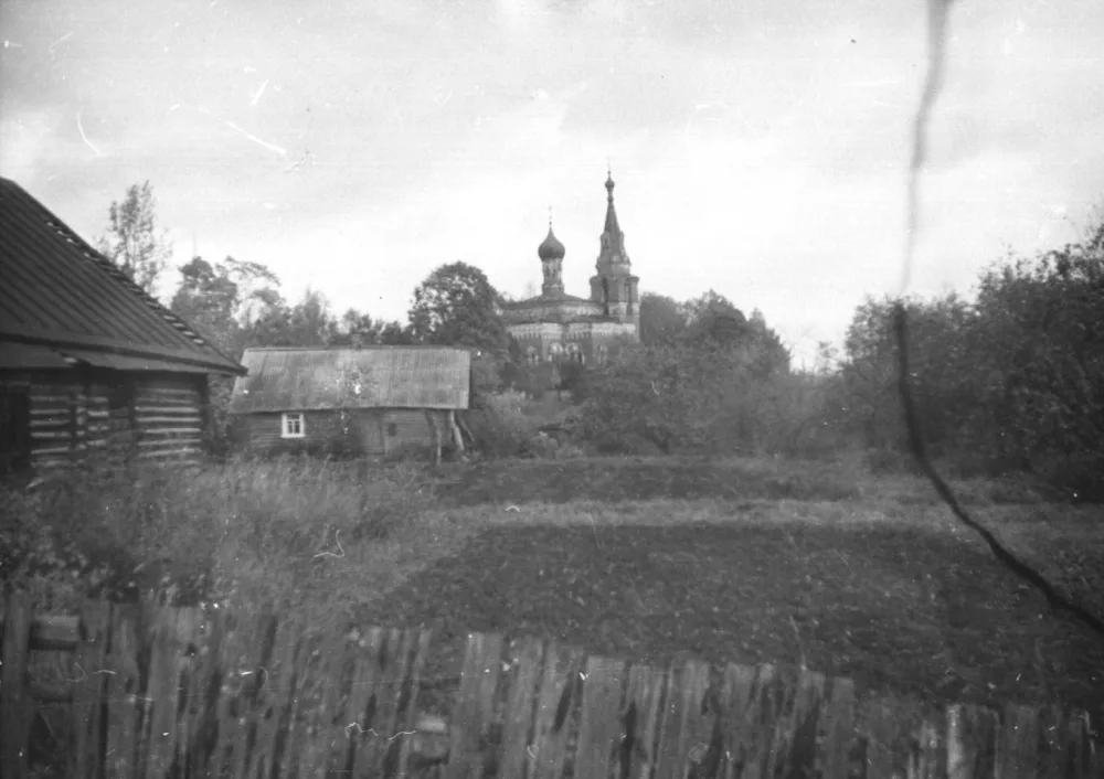 Селище (Локно)