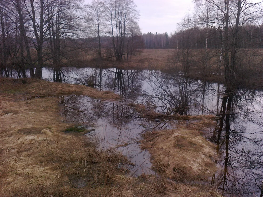 Кестромка