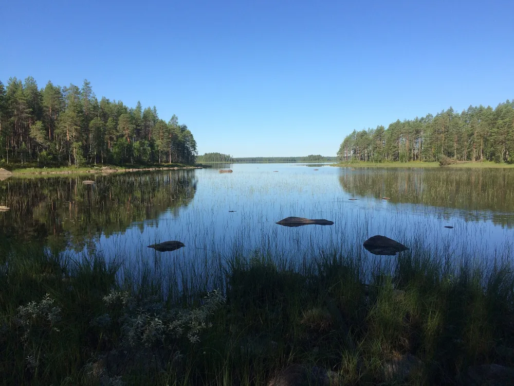 Кинаспуоли
